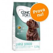 Concept for Life 1,5 kg till sparpris! Medium Junior