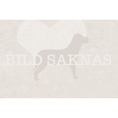 Märgben nöt 20 cm 10 kg