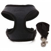 Superb Black - Hundsele och Koppel - Small