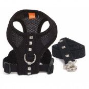 Summer Rock Black - Hundsele och Koppel - Large